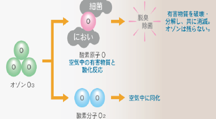 見どころ画像②